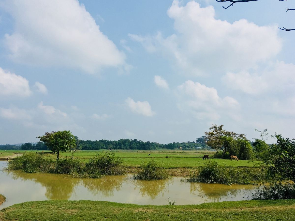 Cherrapunjee