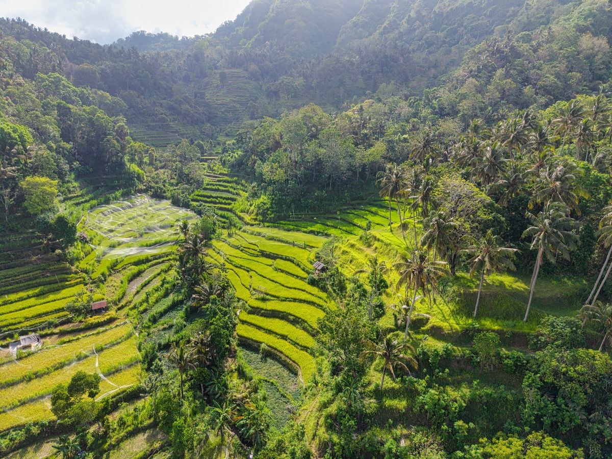 Amazing Bali