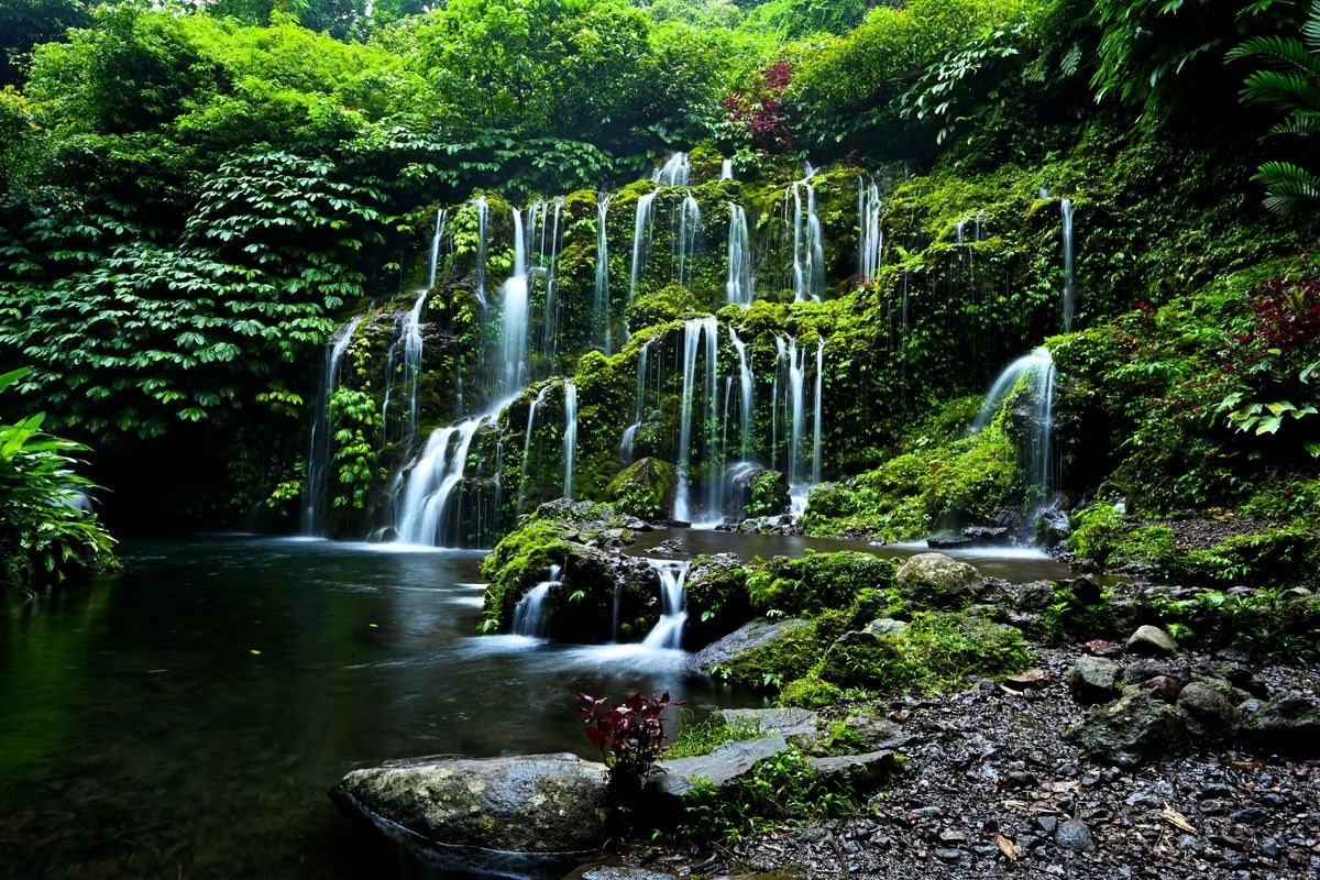 Wonders of Bali
